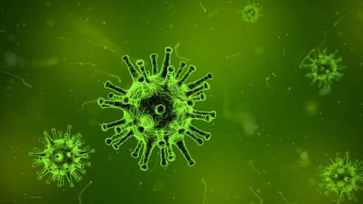 Βρέθηκε ο αρχαιότερος ιός του κόσμου: Μολύνει τον άνθρωπο εδώ και 4.500 χρόνια