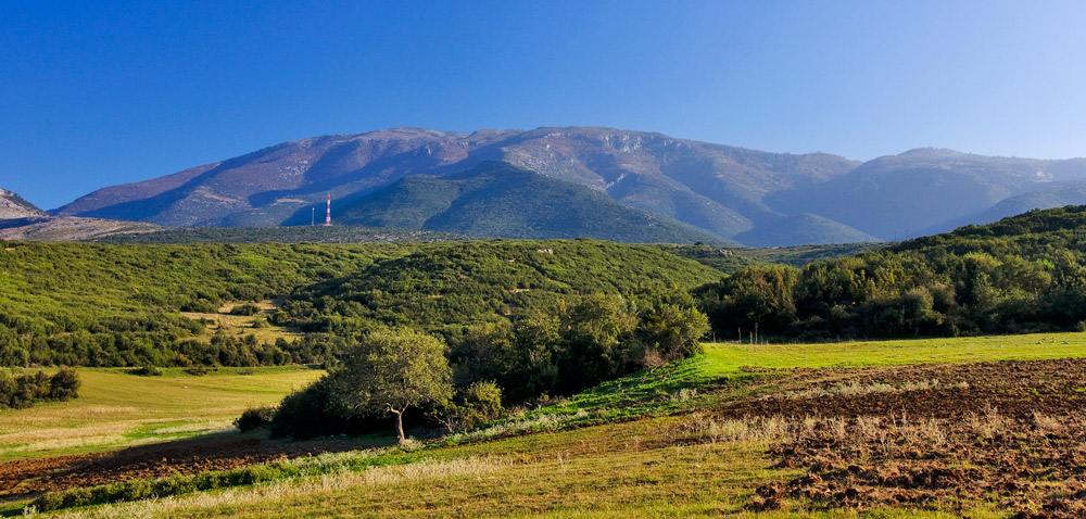 «Το Πάικο στο πιάτο της Πέλλας» κεντρικό θέμα στην «7η Πέλλα της γεύσης»