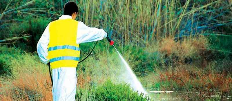 Σε πλήρη εξέλιξη το πρόγραμμα καταπολέμησης κουνοπιών στην ΠΚΜ
