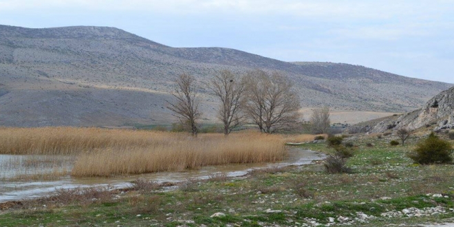 Νεκρώνει η Βεγορίτιδα;;; Η αρχή του τέλους;