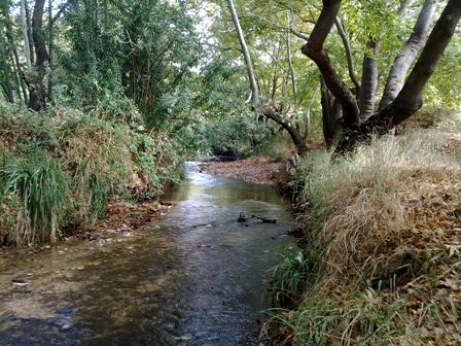 Εγκρίθηκε η δημοπράτηση για τον καθαρισμό των ρεμάτων της Π.Ε. Πέλλας