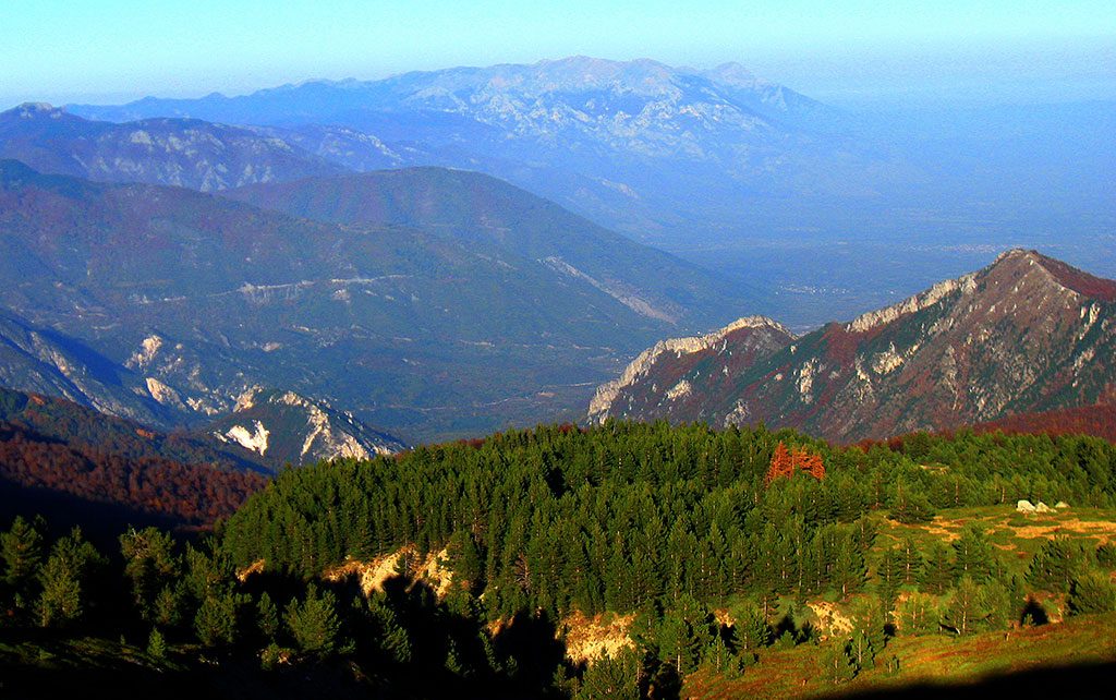 Ιδρύθηκαν και ορίστηκαν από το ΥΠΕΝ ΔΣ στους ΦΠΠ Βόρα- Πάικου- Βέρμιου με έδρα την Έδεσσα και Λιμνών Δυτικής Μακεδονίας