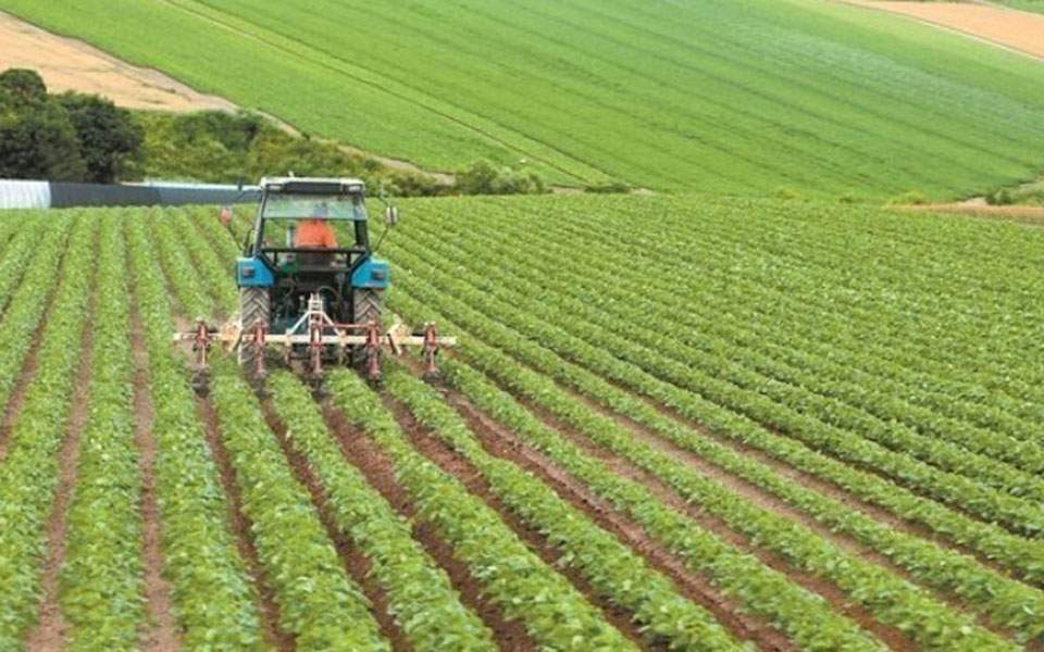 Συμβολαιακή γεωργία: Παρατείνεται η προθεσμία υποβολής συμβάσεων