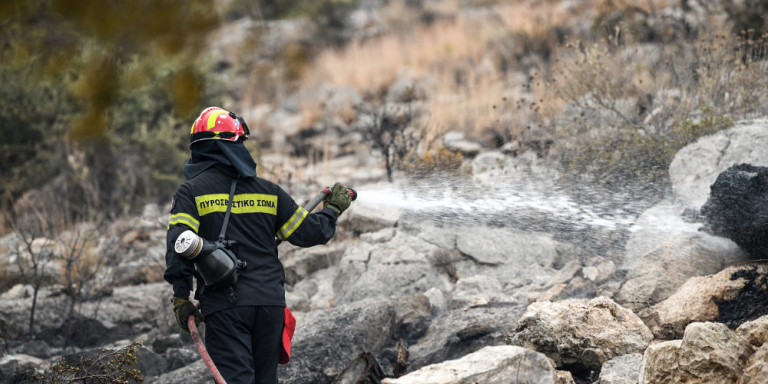Φωτιά στη Χαλκιδική -Καίγονται ξερά χόρτα και χαμηλή βλάστηση στη Νικήτη