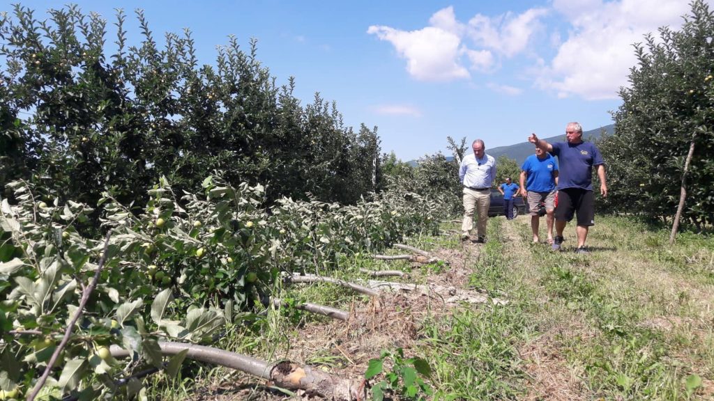 Διονύσης Σταμενίτης:«Τεράστιες οι ζημιές για τους παραγωγούς δενδροκαλλιεργειών στις περιοχές του Νομού Πέλλας που χτύπησε το χαλάζι και οι ισχυροί άνεμοι»