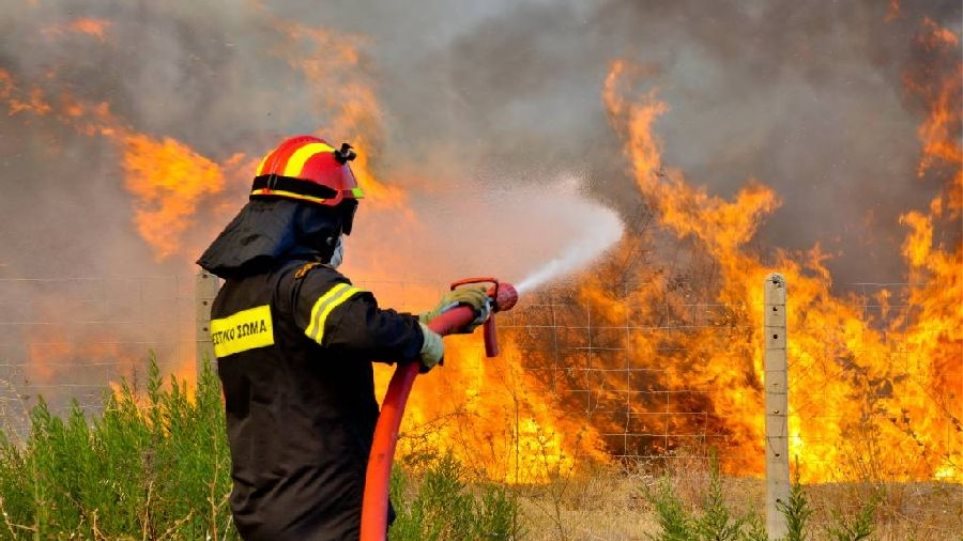 Χαλκιδική: Σε ύφεση η φωτιά στην Κασσάνδρα