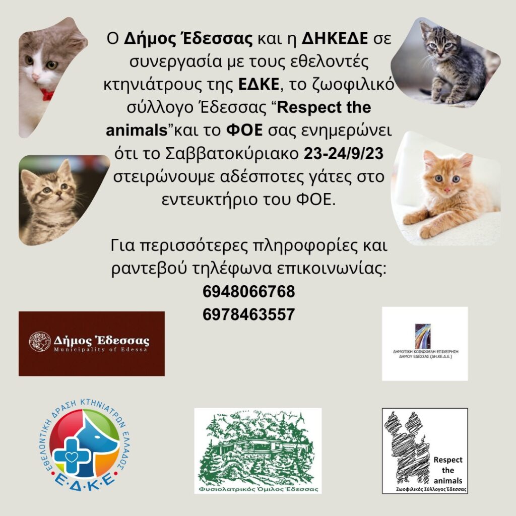 Δήμος Έδεσσας: Στείρωση σε αδέσποτες γάτες