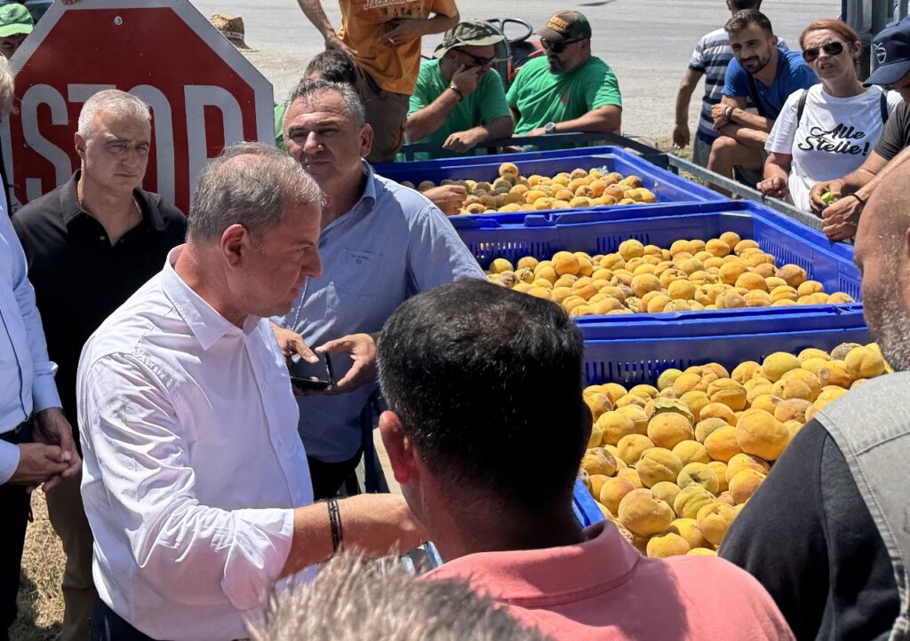 Στις πληγείσες από χαλαζόπτωση περιοχές της Ημαθίας ο ΥφΑΑΤ, Διονύσης Σταμενίτης