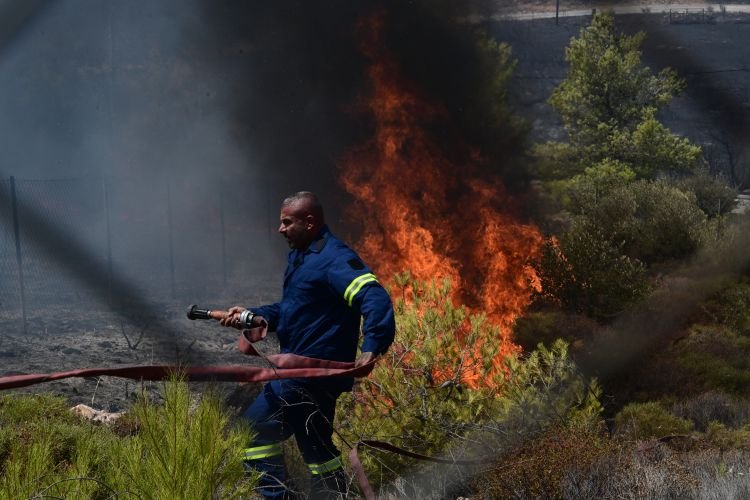 Φωτιά στην Αττική: Με εντολή Χαρδαλιά συγκροτούνται άμεσα Επιτροπές Αρωγής για την αποζημίωση επιχειρήσεων