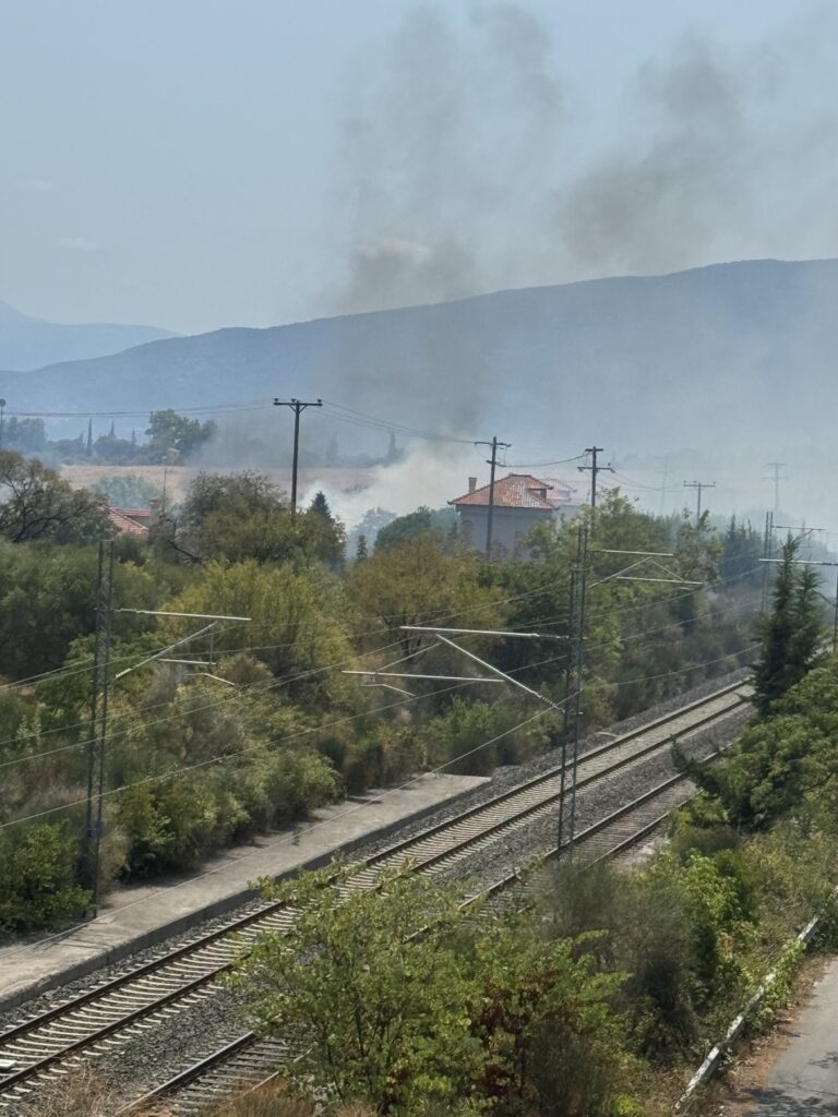 Σβήστηκε η φωτιά στην παρολύμπια περιοχή της Πλάκας Λιτοχώρου με ισχυρή δύναμη της Πυροσβεστικής, εναέρια μέσα του Υπουργείου Κλιματικής Κρίσης & Πολιτικής Προστασίας, υδροφόρες και μηχανήματα έργου του Δήμου, της ΠΕ Πιερίας και του Δήμου Κατερίνης