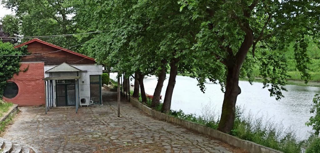 ” ΣΗΜΕΙΟ ΜΗΔΕΝ ” ΟΙ “KYKNOI” ΣΤΟ ΛΟΥΔΙΑ